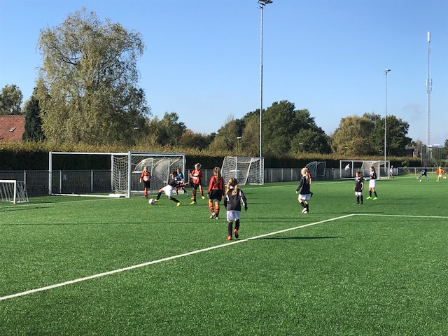 MO11-1